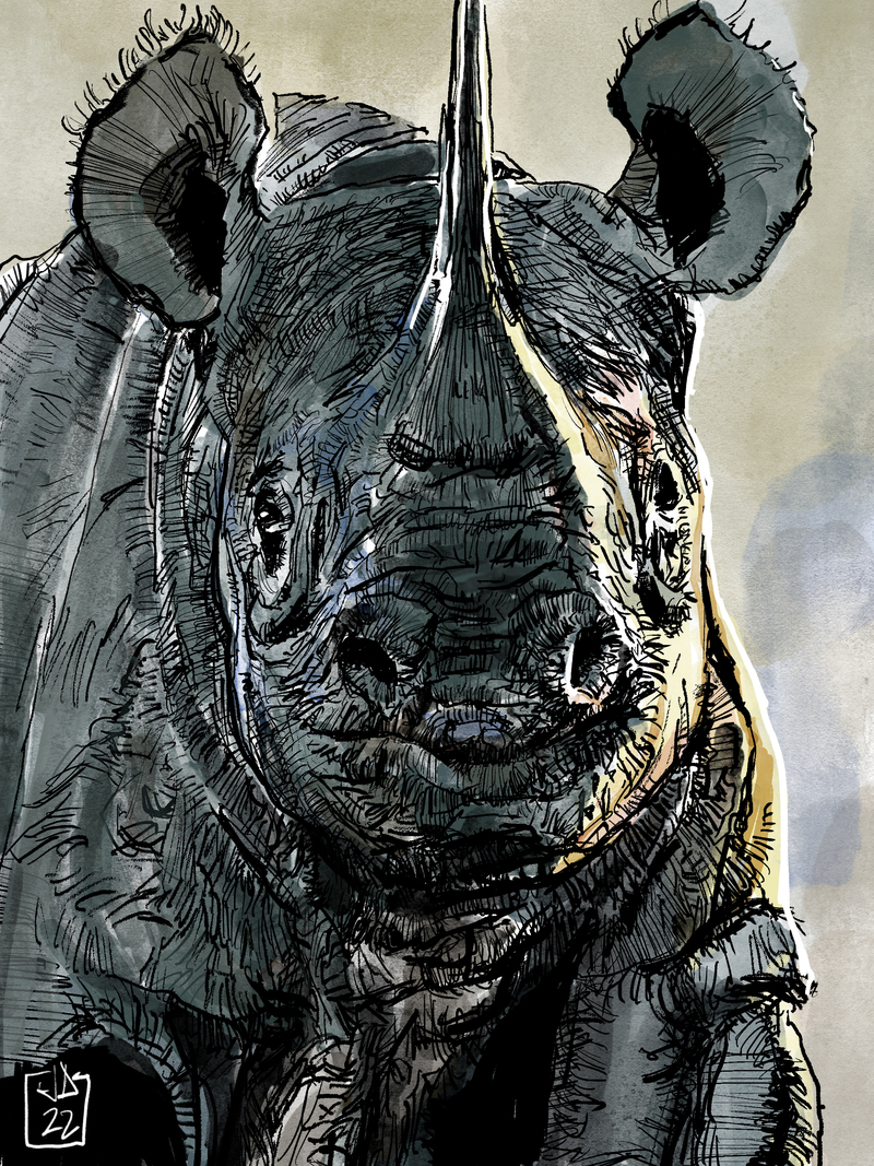 Rhino