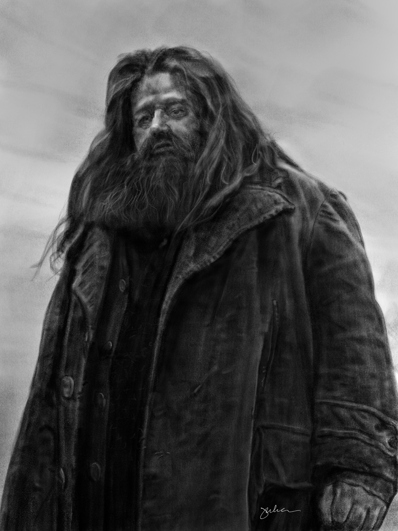 Robbie Coltrane as Rubeus Hagrid